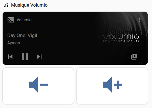 Ajout bouton volume home assistant